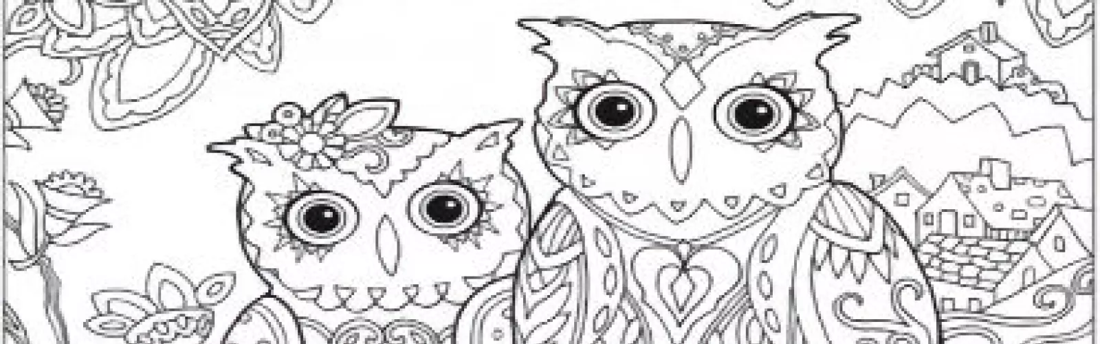 A partial uncolored coloring page showing the faces of two owls